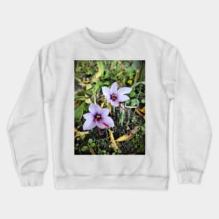 Saffron flowers Crewneck Sweatshirt